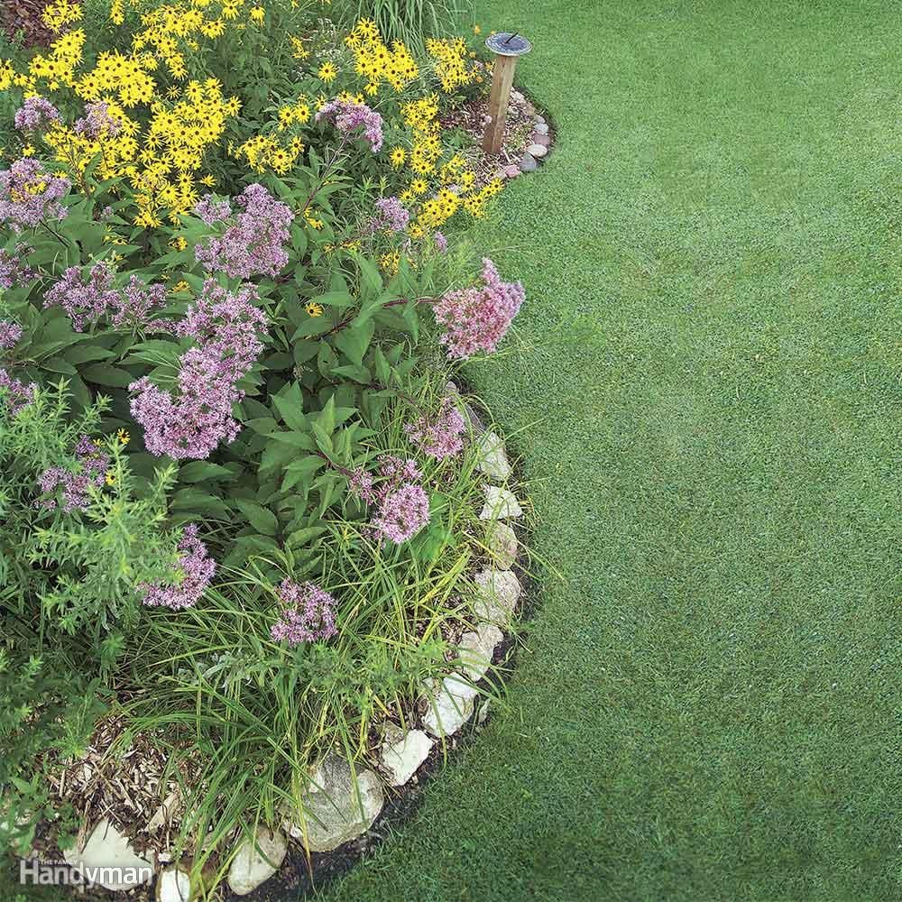 Rain Garden