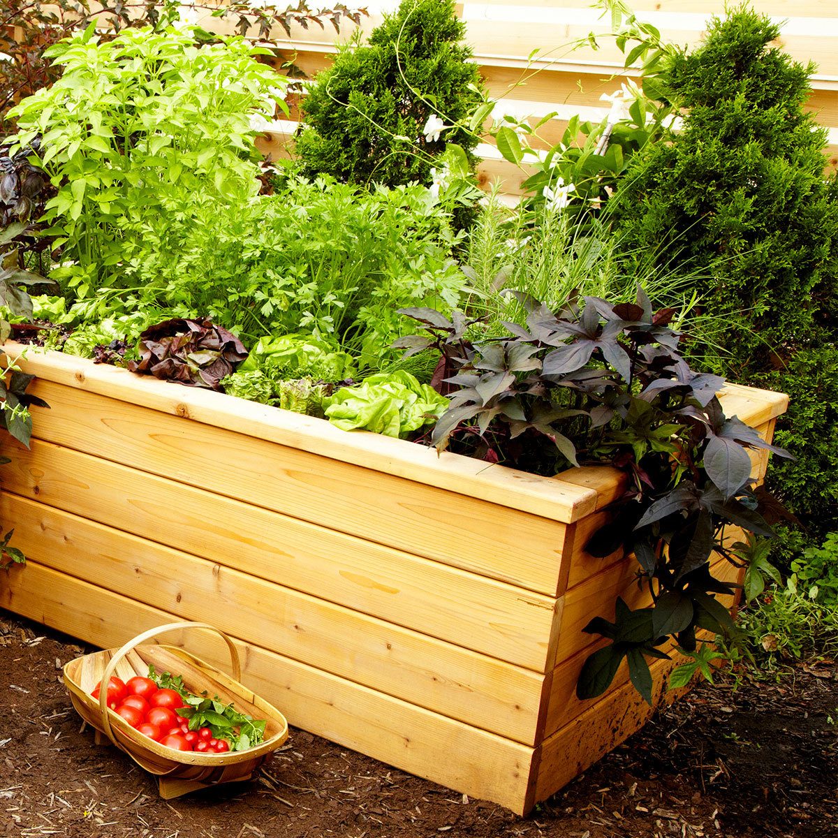 Self-Watering Planter