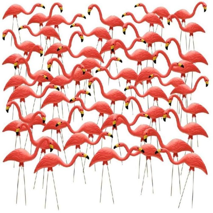 A cluster of plastic flamingos stands with legs planted in a white background, creating a whimsical display of vibrant pink and yellow accents.