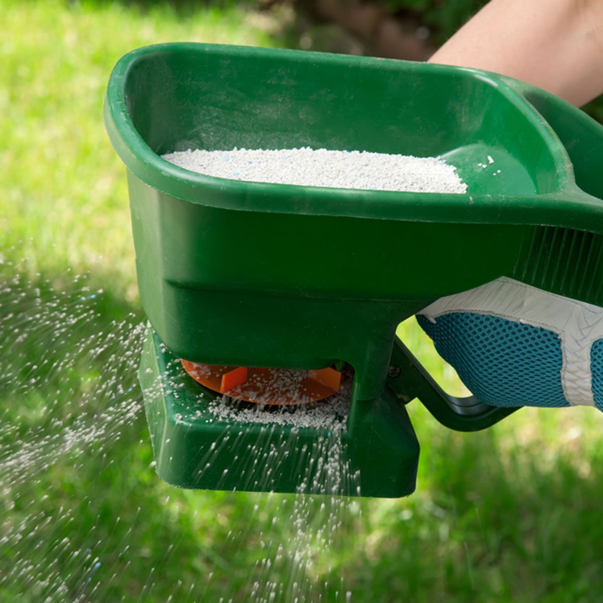 Fertilize Your Lawn