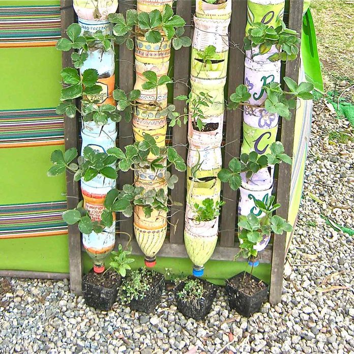 bottle tower garden