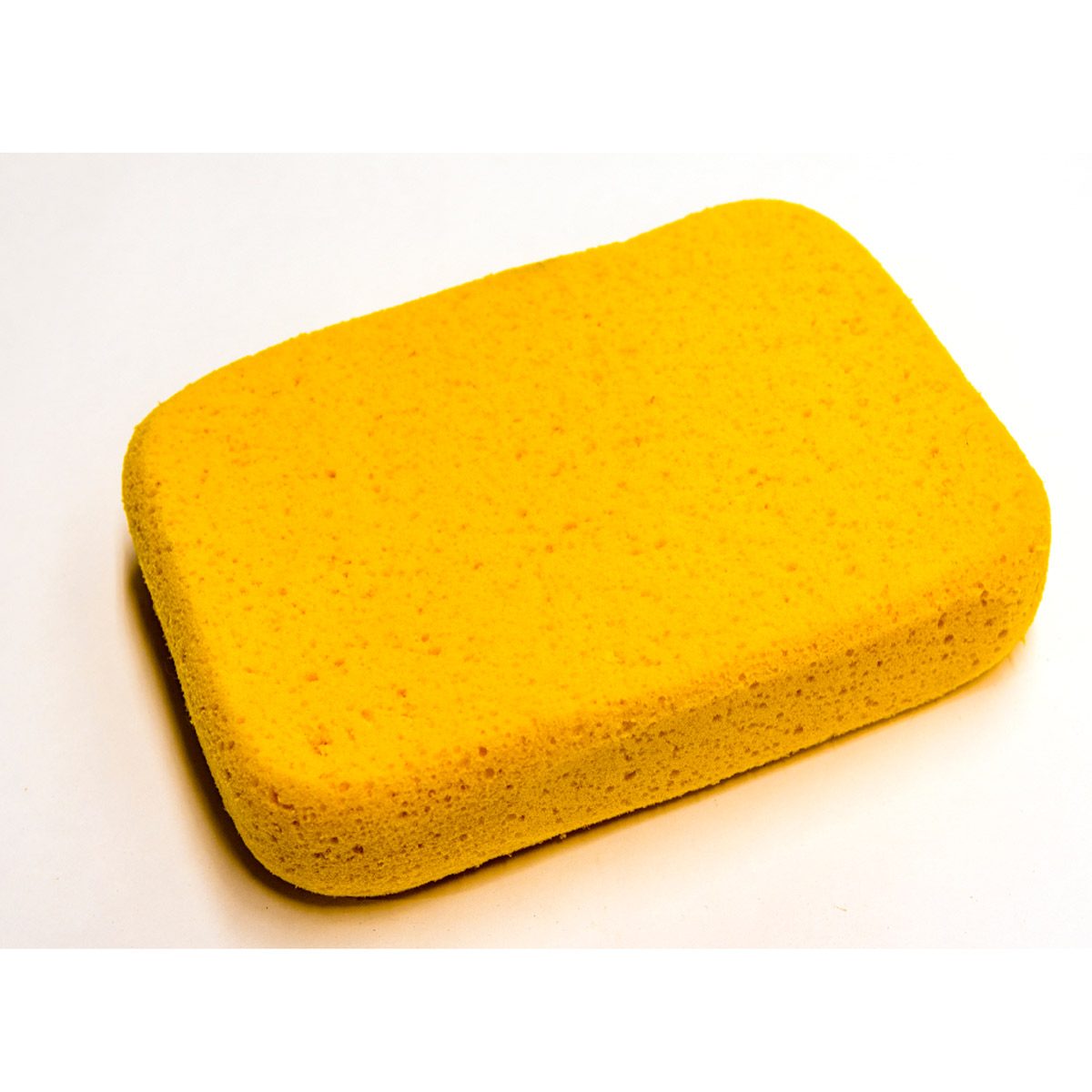 sponge