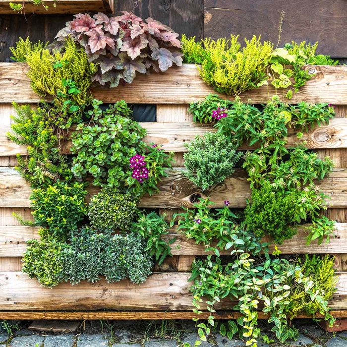 Hide AC Unit with a Living Garden AC Cover