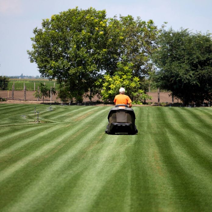 lawn
