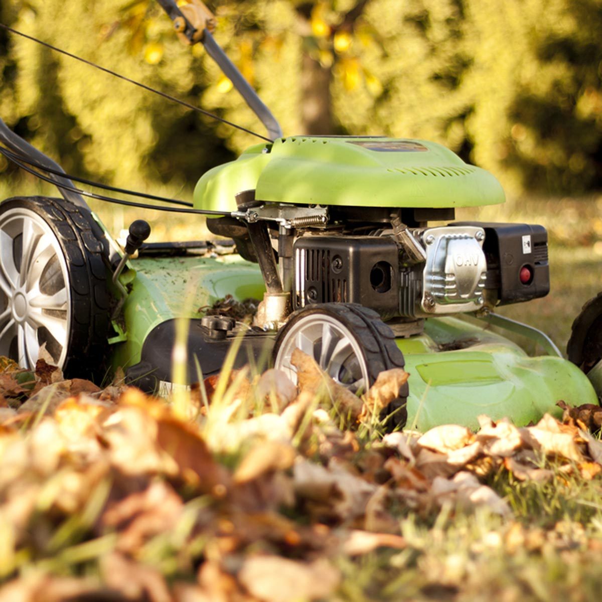 A green lawn mower rests among fallen autumn leaves, with sunlight filtering through surrounding trees, suggesting it's in use for garden maintenance.