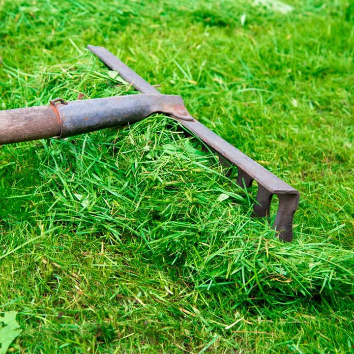 rake