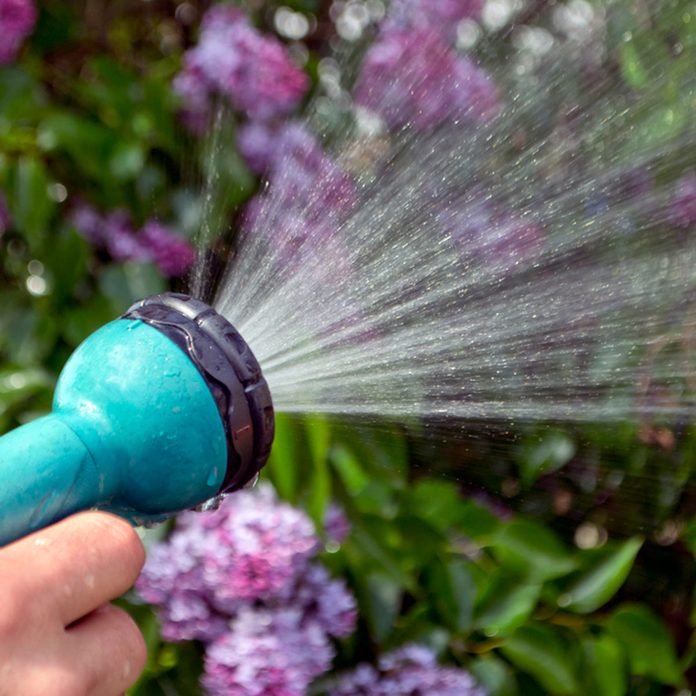 hose