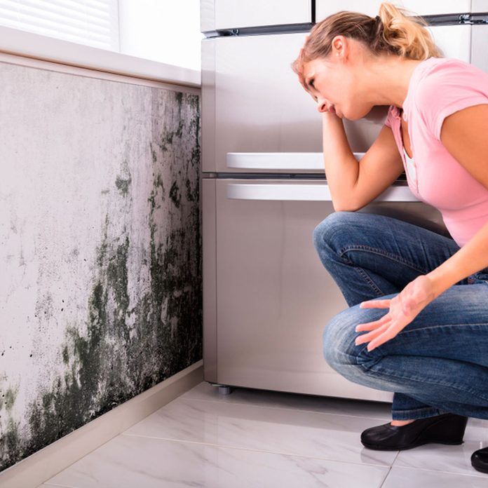 Mold