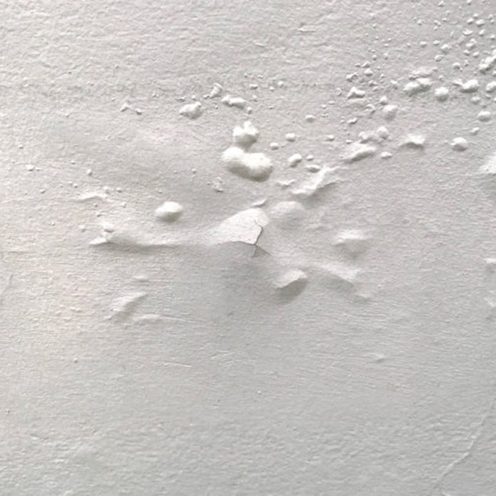 wall