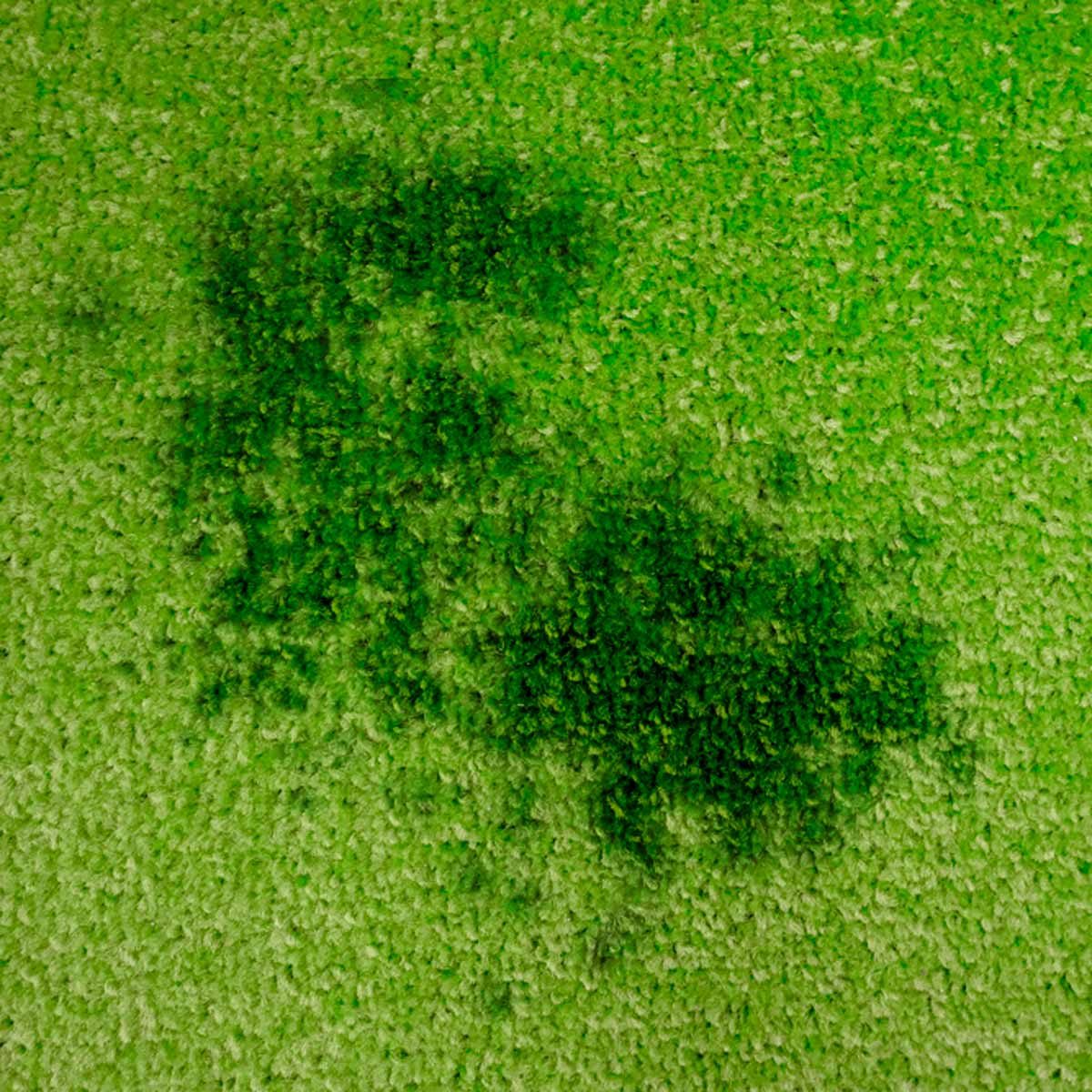 Dark green stains appear on a bright green carpet, indicating possible spills or soiling within an indoor, well-lit space.