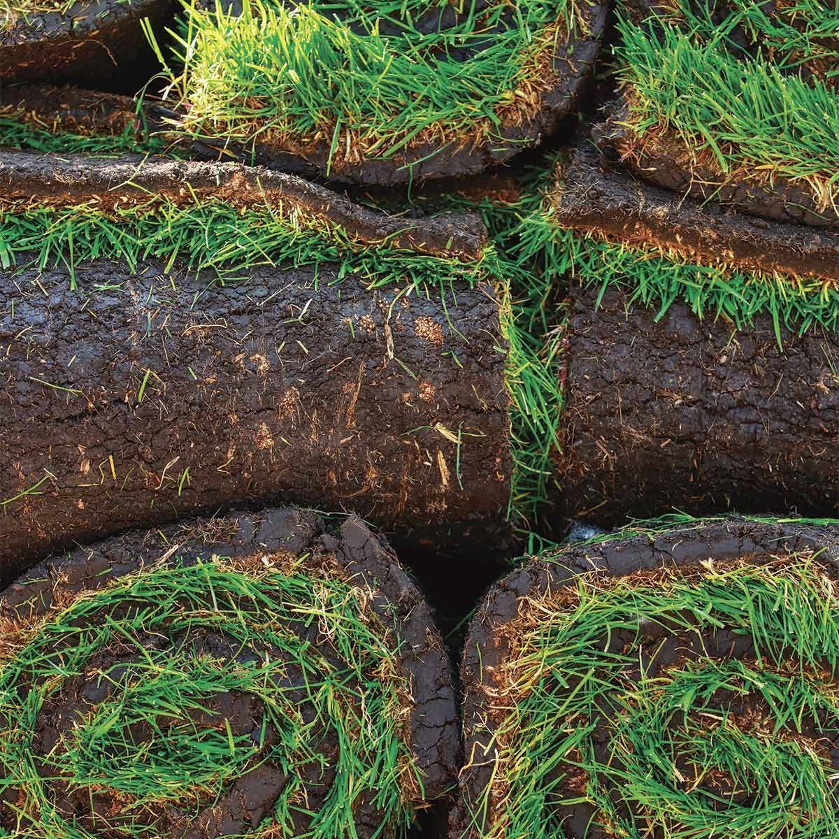 Rolled sod pieces are stacked, showcasing dark soil with vibrant green grass on top, indicating freshness and readiness for planting in a garden or lawn.