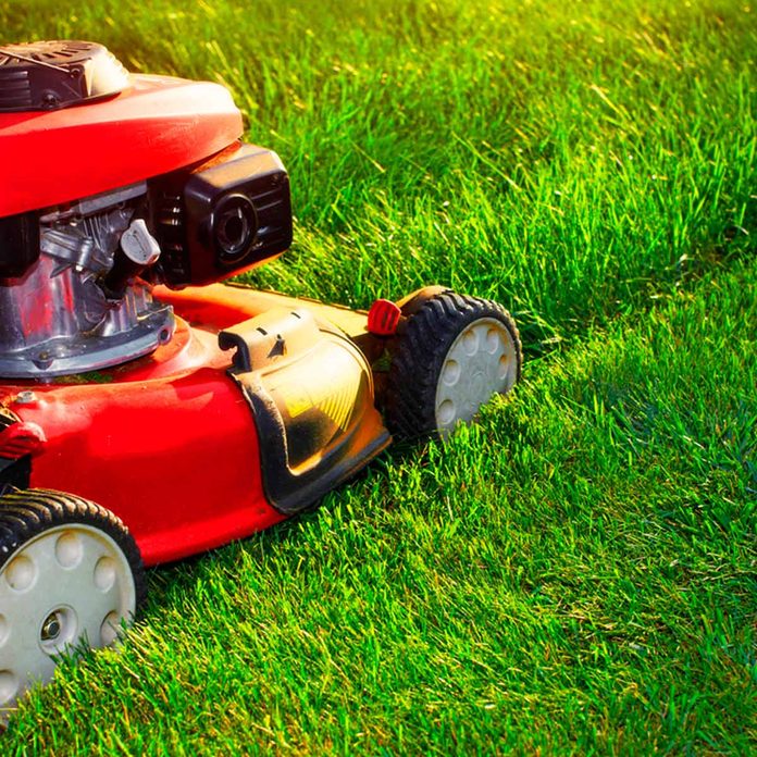 mow
