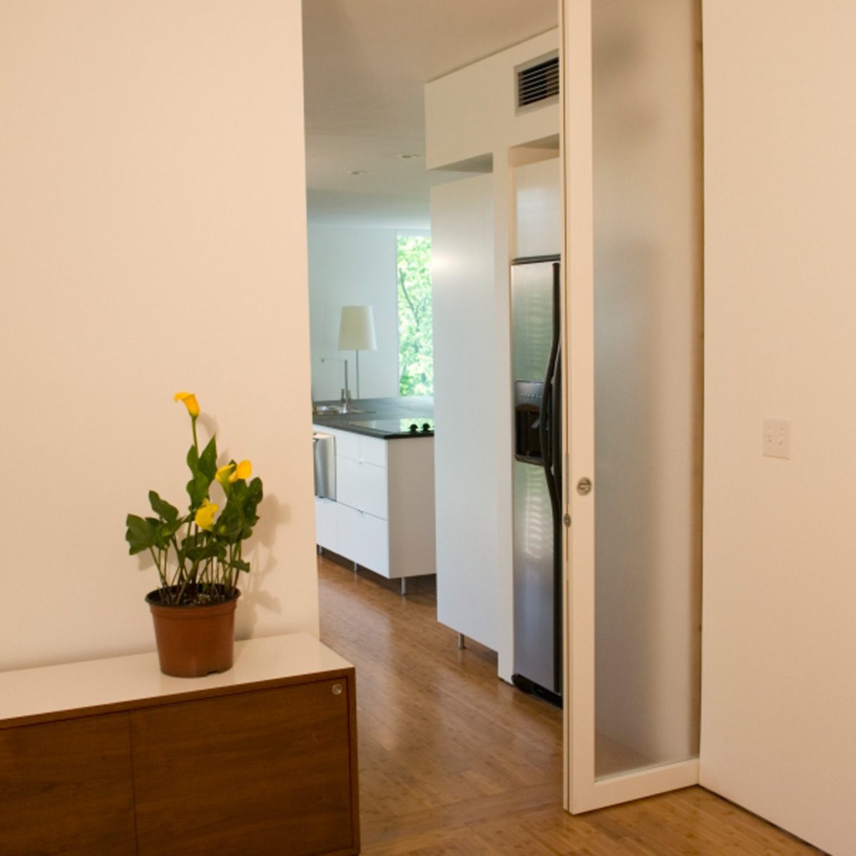pocket door