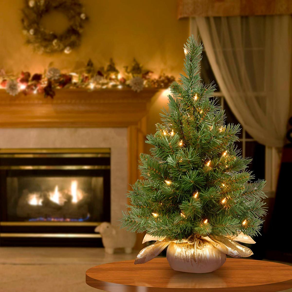 tree