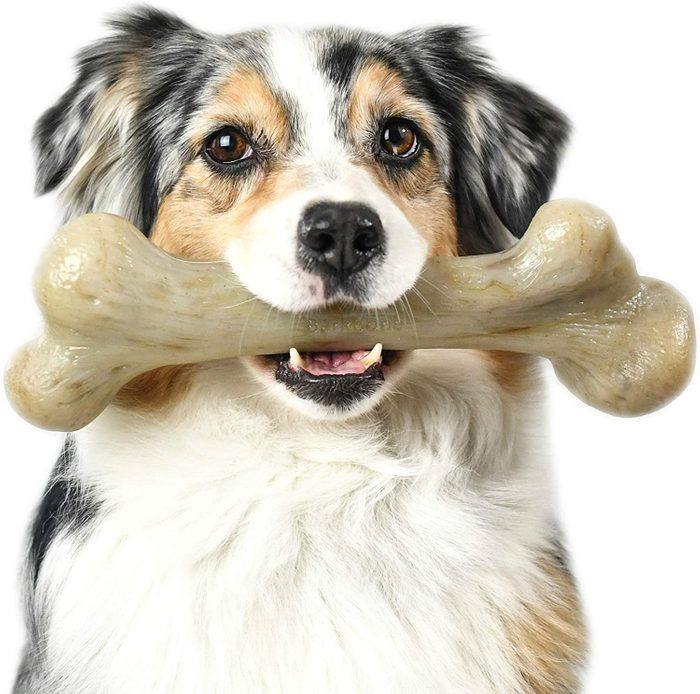 A dog holds a large bone in its mouth, looking directly at the viewer with soft fur and bright eyes against a plain white background.