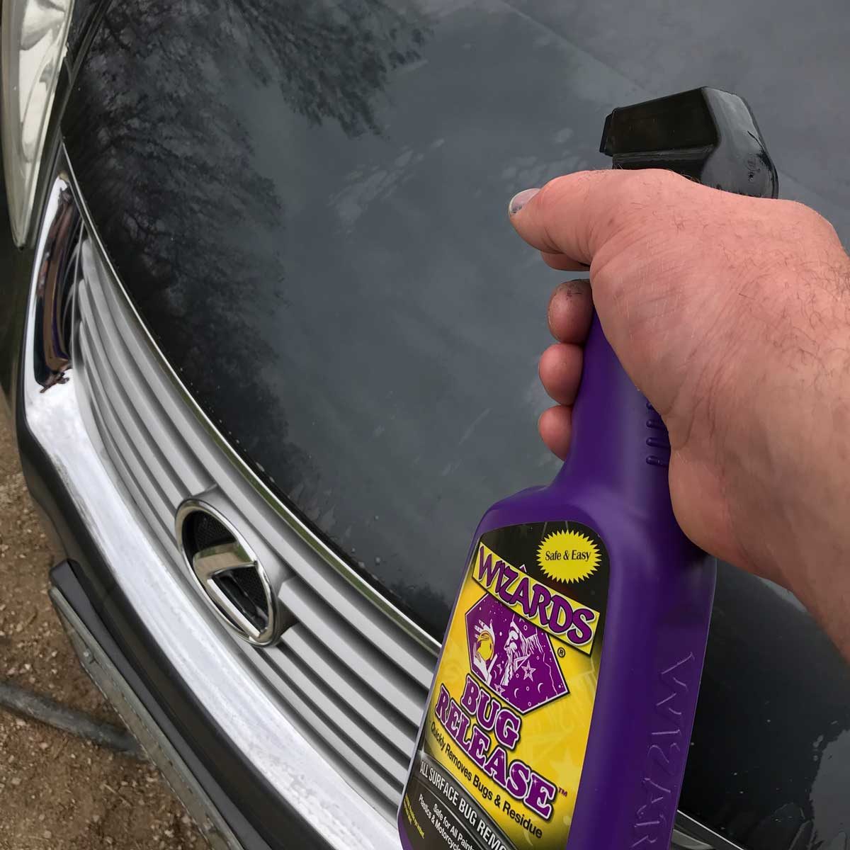 Remove Stubborn Bug Stains