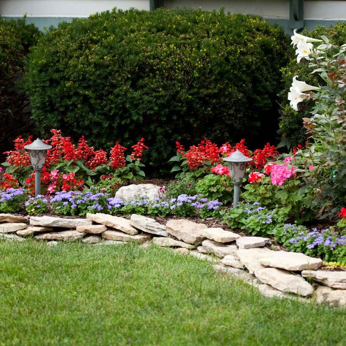 Flower Border