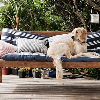 A golden retriever lies on a wooden bench adorned with decorative cushions, situated on a porch surrounded by greenery and potted plants.