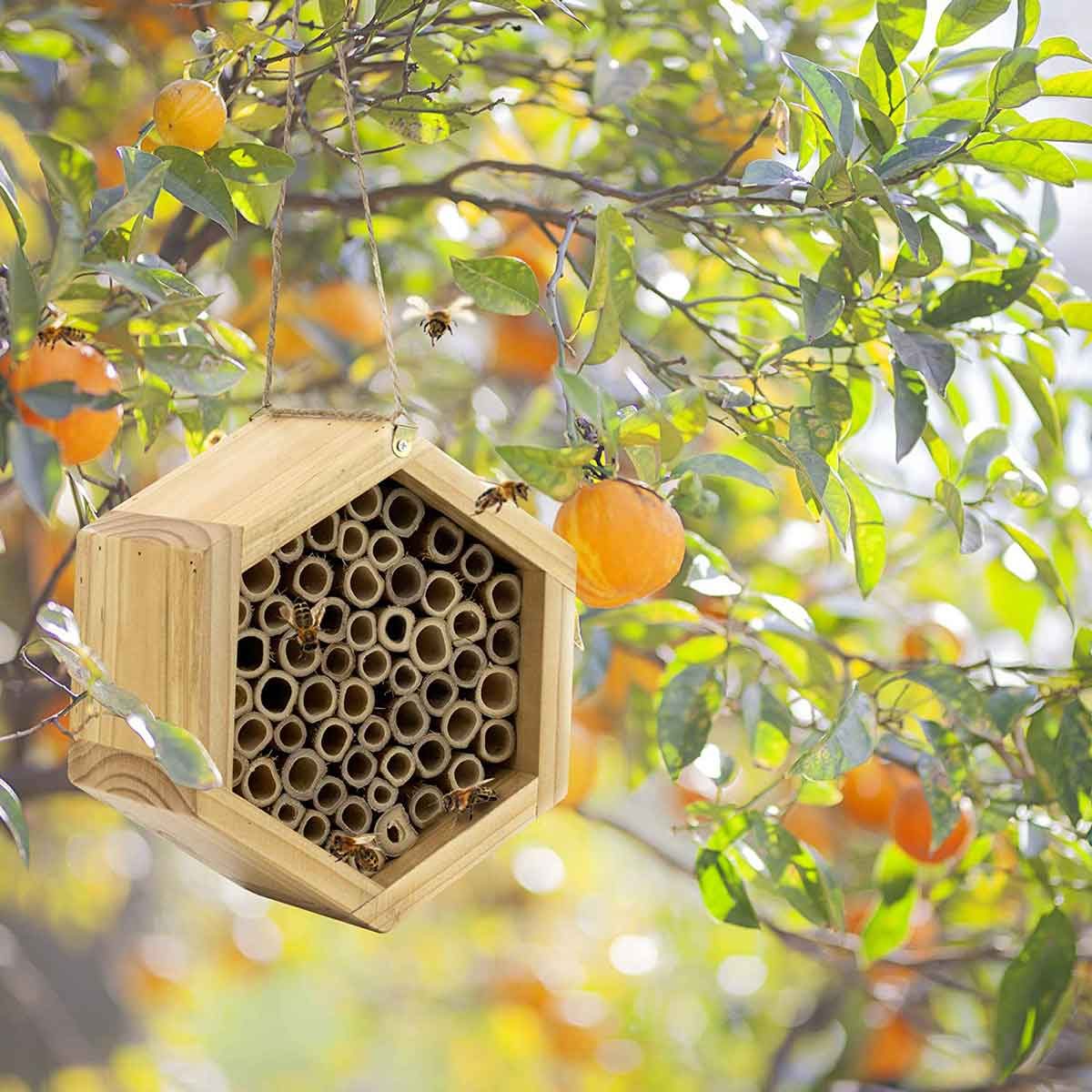 Bug Hotel
