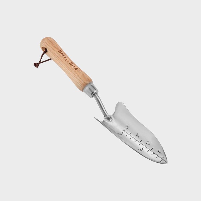 A stainless steel garden trowel with a wooden handle rests against a neutral background, featuring measurement markings along the blade for planting depth.