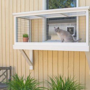 A cat sits inside an outdoor enclosure attached to a house, with a small plant nearby and greenery below, against a wooden wall backdrop.
