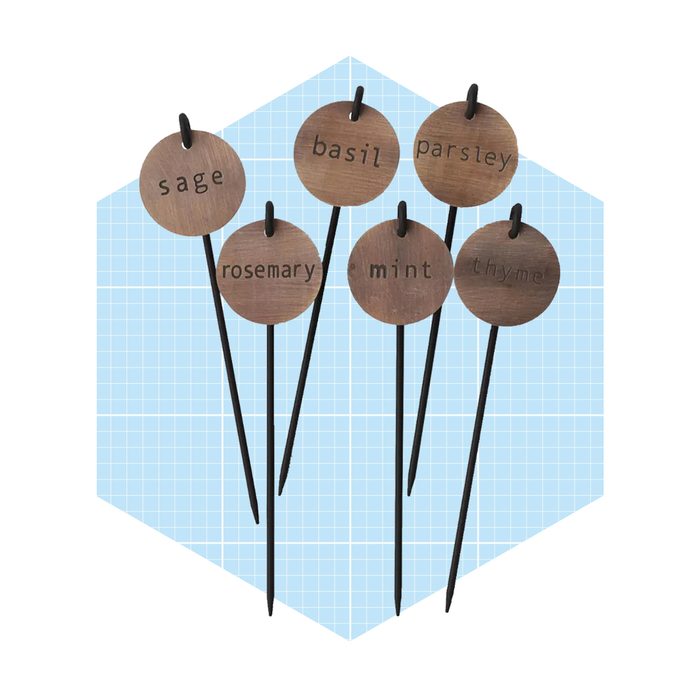Wooden plant markers label various herbs, standing upright against a blue grid background, indicating their names: sage, basil, parsley, rosemary, mint, and thyme.