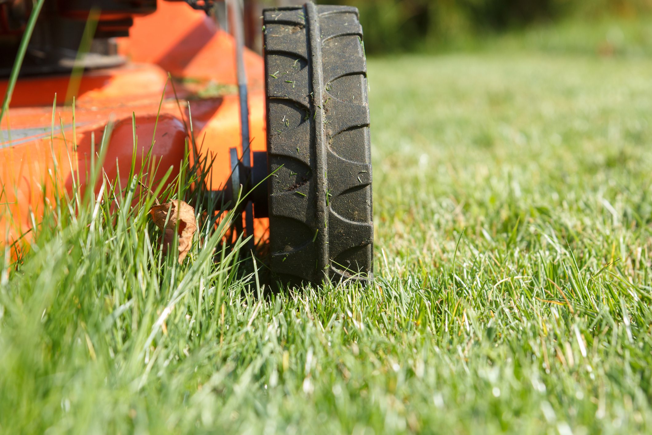 red lawn mower
