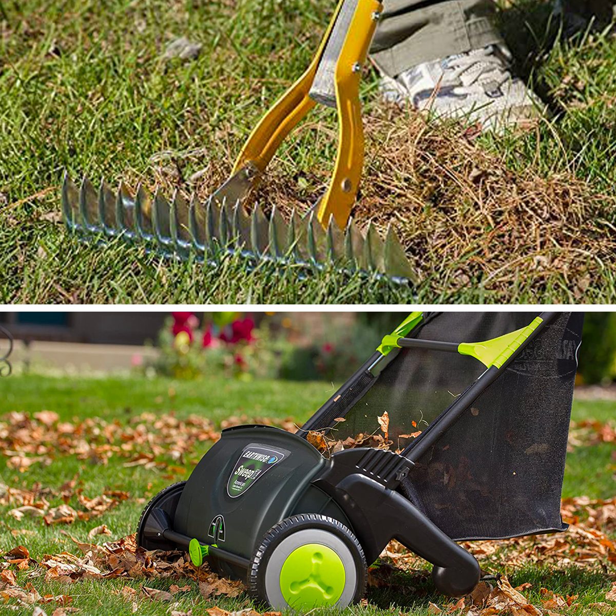 Dethatcher vs. Lawn Sweeper: What’s the Difference?