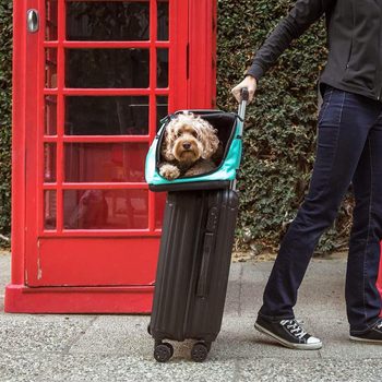 A person pulls a suitcase with a dog comfortably resting in a carrier on top, near a red telephone booth and green foliage.