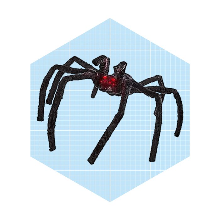 A spider with a shiny black body and red markings stands on a light blue grid background, displaying its long, spindly legs outward.