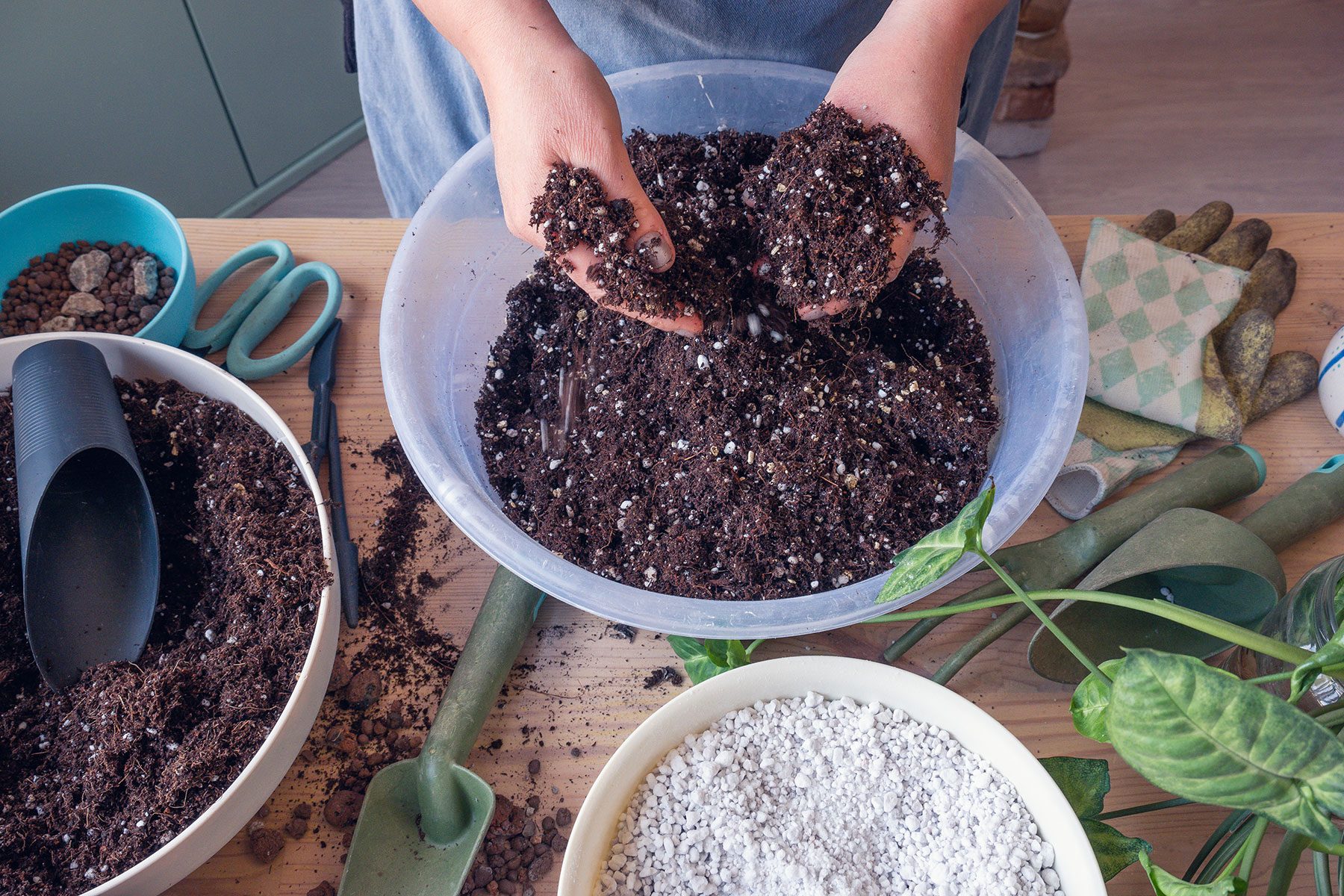 Potting Soil