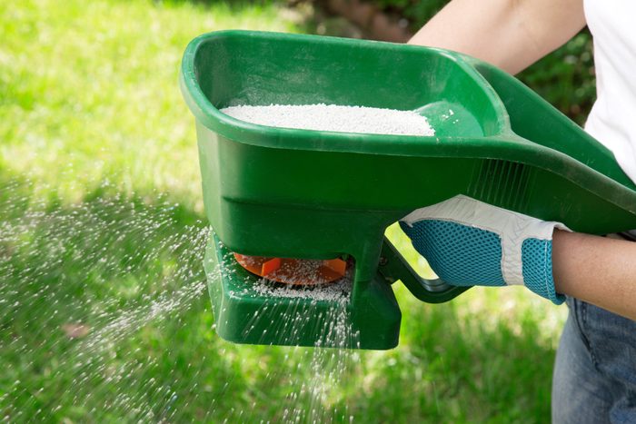 grass fertilizer