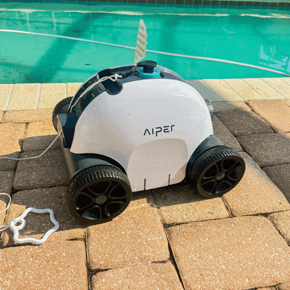 The 6 Best Pool Vacuums