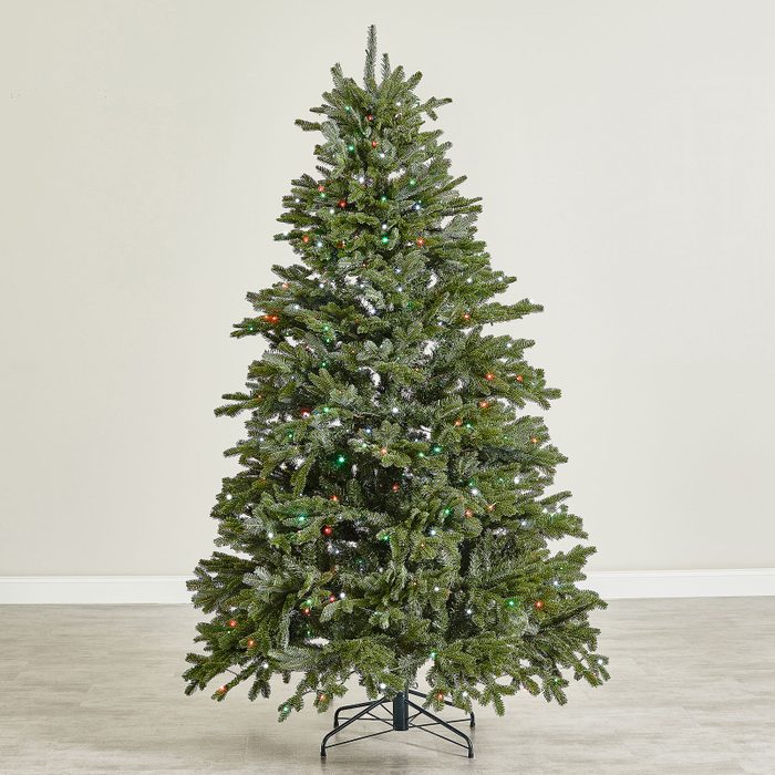 Balsam Hill Fraser Fir