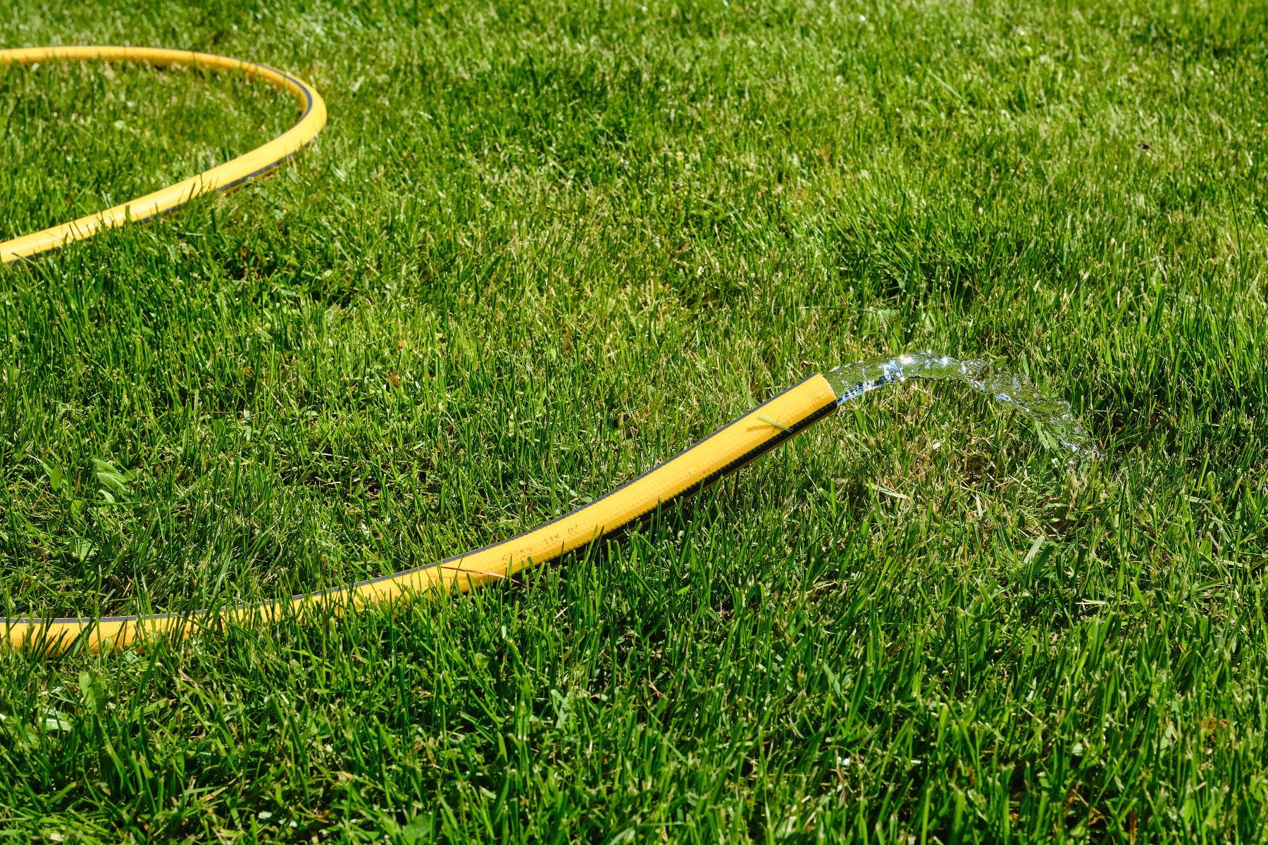 How To Siphon Fluids pipe hosing water onto grass